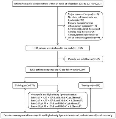A Nomogram That Includes Neutrophils and High-Density Lipoprotein Cholesterol Can Predict the Prognosis of Acute Ischaemic Stroke